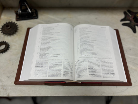 3 / Couverture de Bible - GRAND MODÈLE