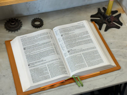 3 / Couverture de Bible - GRAND MODÈLE