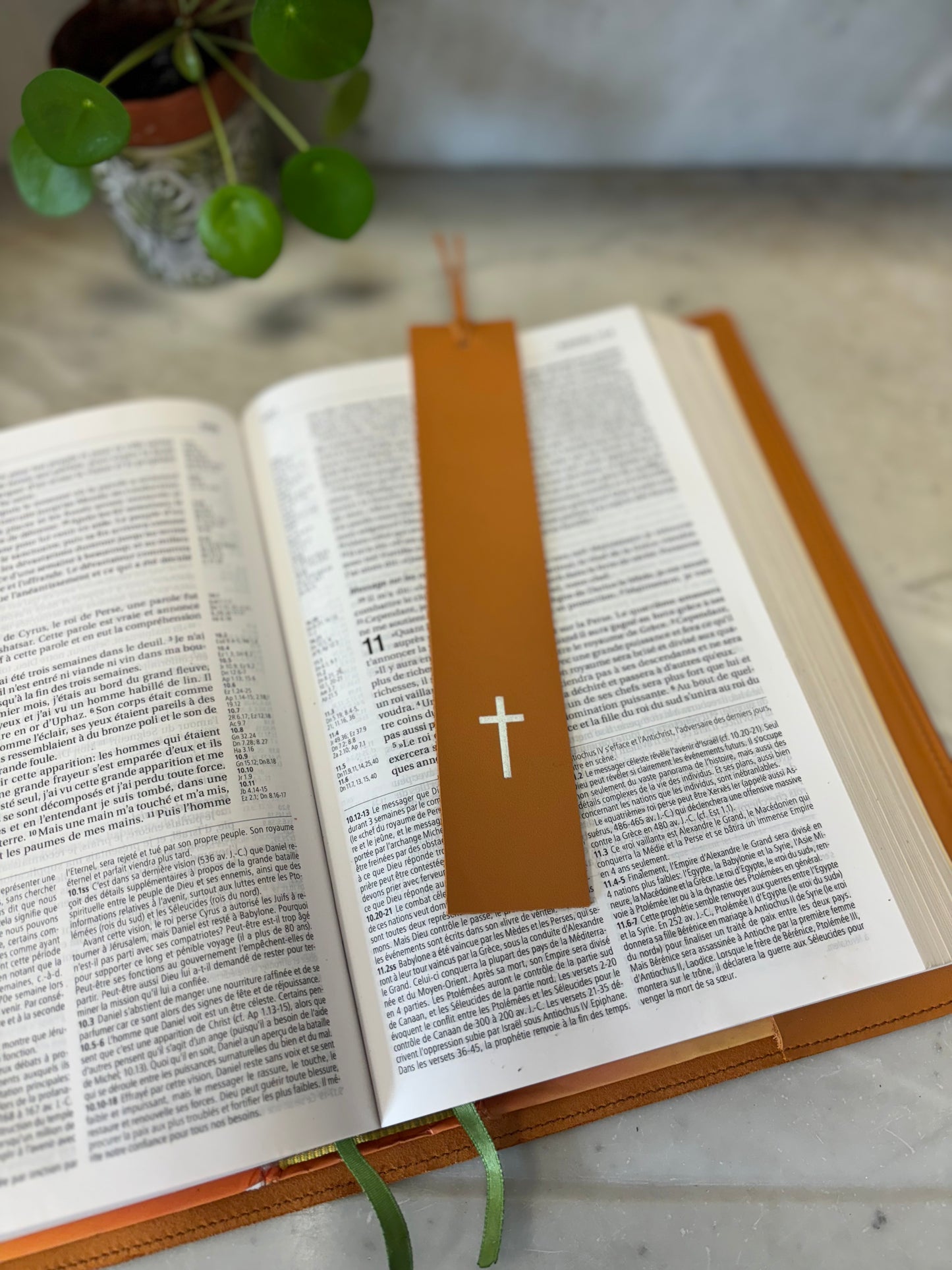 3 / Couverture de Bible - GRAND MODÈLE
